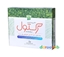 پماد رکتول