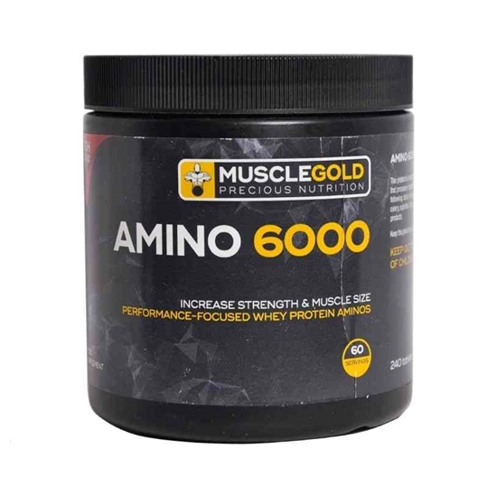 آمینو6000 muscle gold